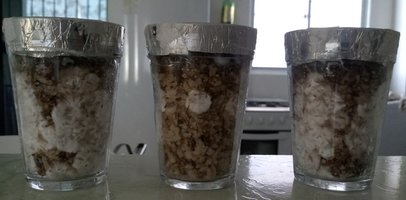 20180524_150350-1.jpg