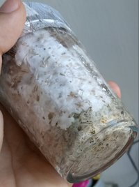 20180524_151417-1.jpg