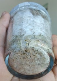 20180524_151324-1.jpg