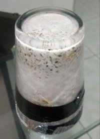 20180528_174712-1.jpg