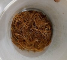 20180528_180435-1.jpg