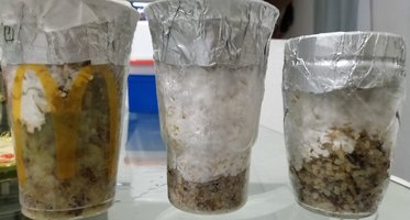 20180529_232309-1.jpg