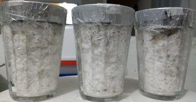 20180529_231808-1.jpg