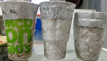 20180529_232221-1.jpg
