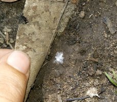 20180530_123735-1.jpg