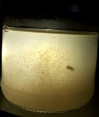 20180601_180044-1.jpg