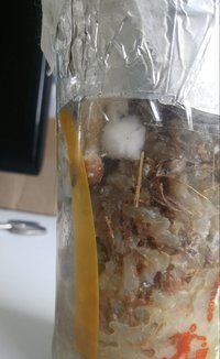 20180607_145010-1.jpg