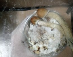 IMG-20180607-WA0018-1.jpg