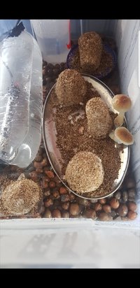 Screenshot_20180609-123052_Gallery.jpg