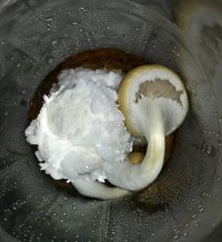 20180613_194340-1.jpg