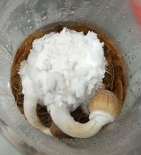 20180613_003151-1-1.jpg