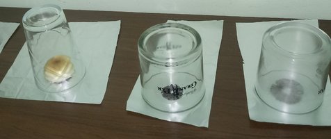 20180613_161638-1.jpg