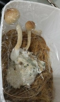20180613_002541-1-1.jpg