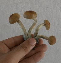 20180610_114415-1.jpg