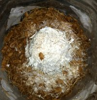 20180613_192557-1.jpg