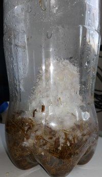 20180613_163922-1.jpg