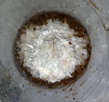 20180613_164030-1.jpg