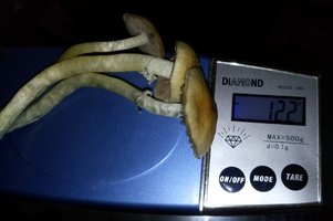 20180622_092732-1.jpg