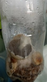 20180625_093838-1-1.jpg