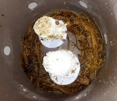 20180626_024631-1.jpg