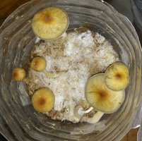 20180625_112953-1.jpg