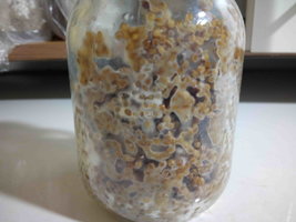 Contaminacao.jpg