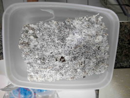 Casing.jpg