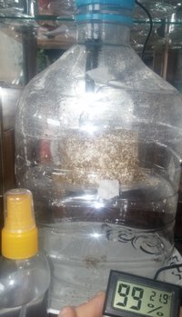 CAM00171.jpg