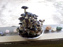 IMG_20180802_143345-min.jpg