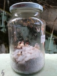 IMG_20171126_185943018.jpg