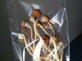 IMG_20171213_170014804.jpg