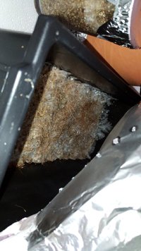 IMG_20180803_171907_403.jpg