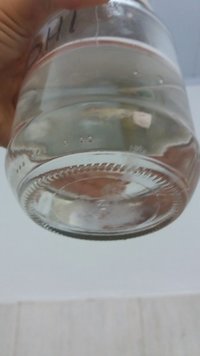 CL Reishi red.jpg