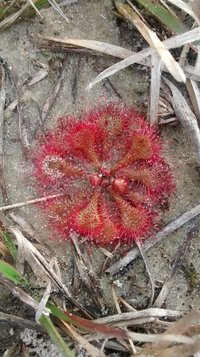 IMG-20180804-WA0050.jpeg
