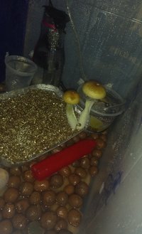 IMG_20180806_162437_847.jpg