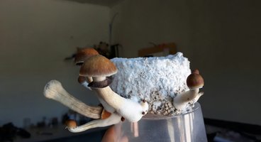 20180807_142643.jpg