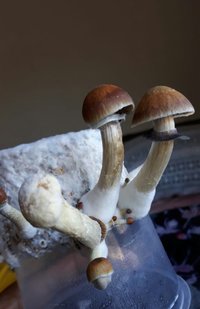 20180807_142122.jpg
