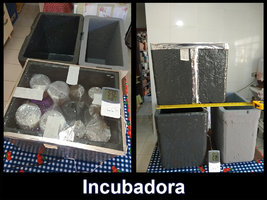 caixa-isopor-incubadora_01.jpg