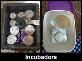 caixa-isopor-incubadora_02.jpg