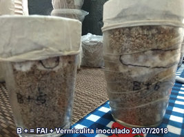 IMG_20180813_121258_5e6-frente.jpg