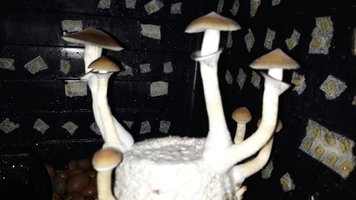 20180816_230605.jpg