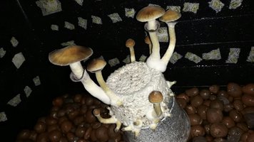 20180816_230530.jpg
