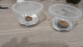 IMG-20180817-WA0039.jpg