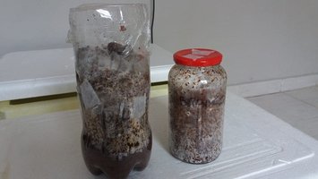IMG-20180816-WA0016.jpg