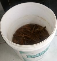 IMG-20180820-WA0005-1.jpg