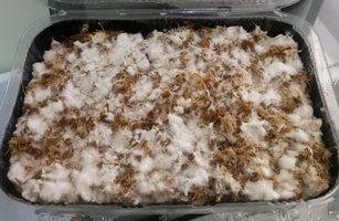 IMG-20180820-WA0004-1.jpg