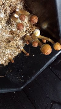 IMG_20180822_093016_495.jpg