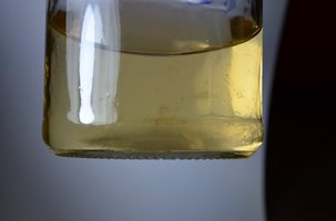 CL GLUCOSE.JPG