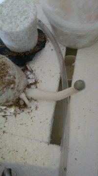 Resizer_15350411734100.jpg