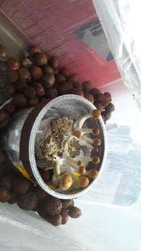IMG-20180819-WA0013.jpg